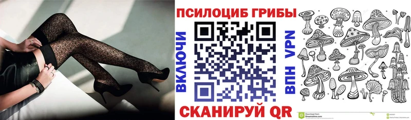 Купить где  Алатырь  Псилоцибиновые грибы ЛСД 