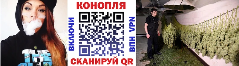 МАРИХУАНА семена  Купить закладки  Алатырь 